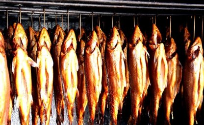 Comment construire un fumoir dans ton jardin ?